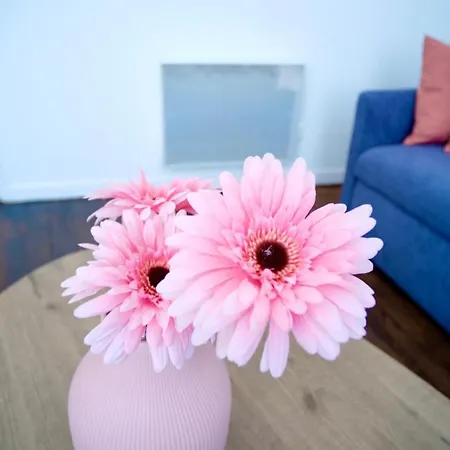 Center Apartament